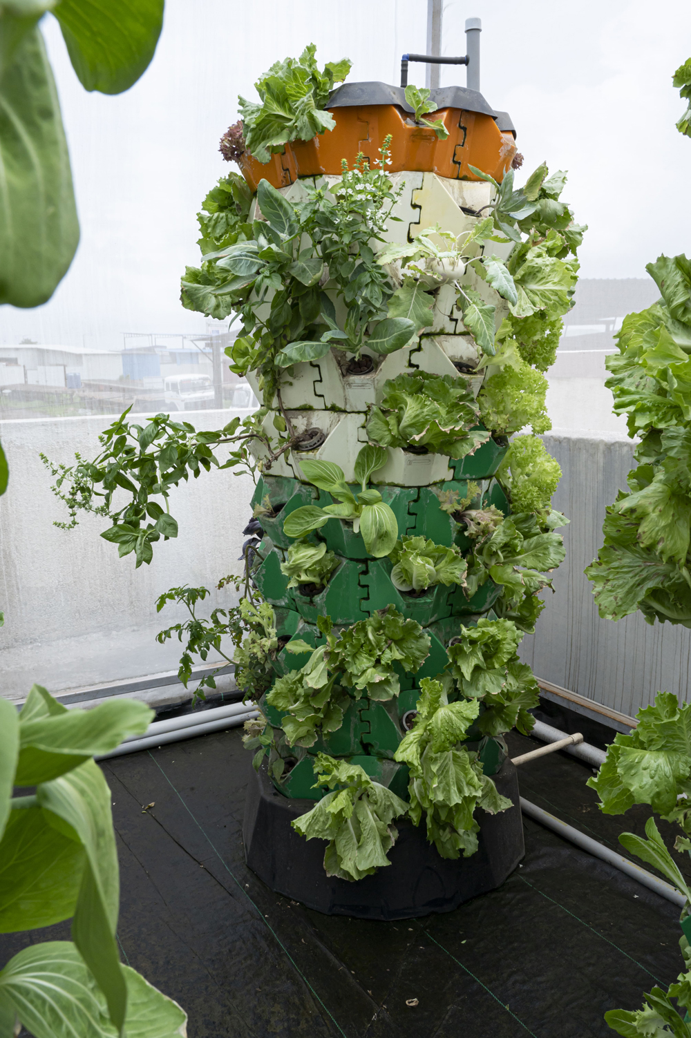 Aeroponic Tower