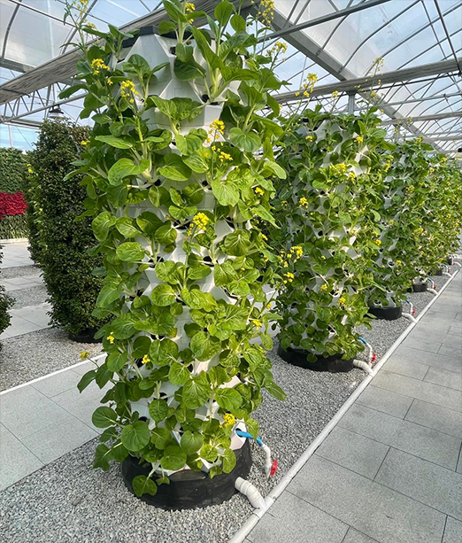 Hydroponic Tower Garden kits Manufacturere in Pune