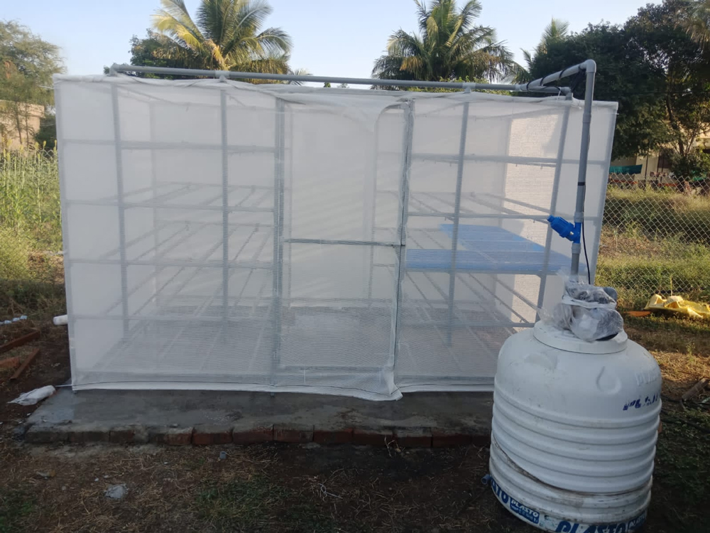 Hydroponics Fodder System Manufacturer in Pune