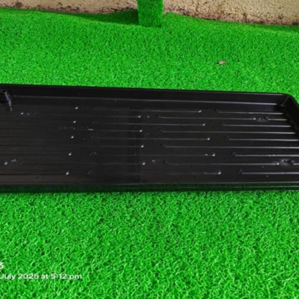 Indoor Micro Greens trays Manufacturer in Pune