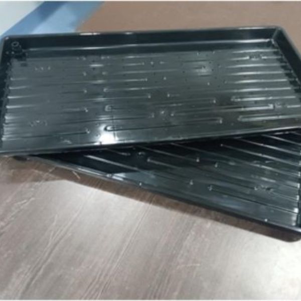 Indoor Micro Greens trays Manufacturer in Pune