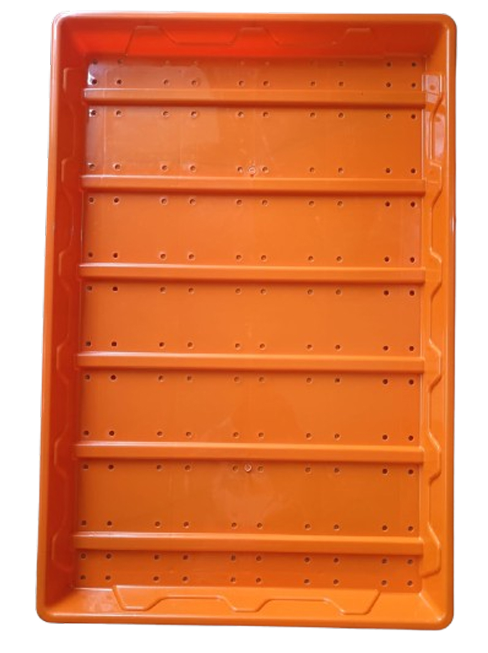 Hydroponics Fodder Tray Manufacturer in Pune